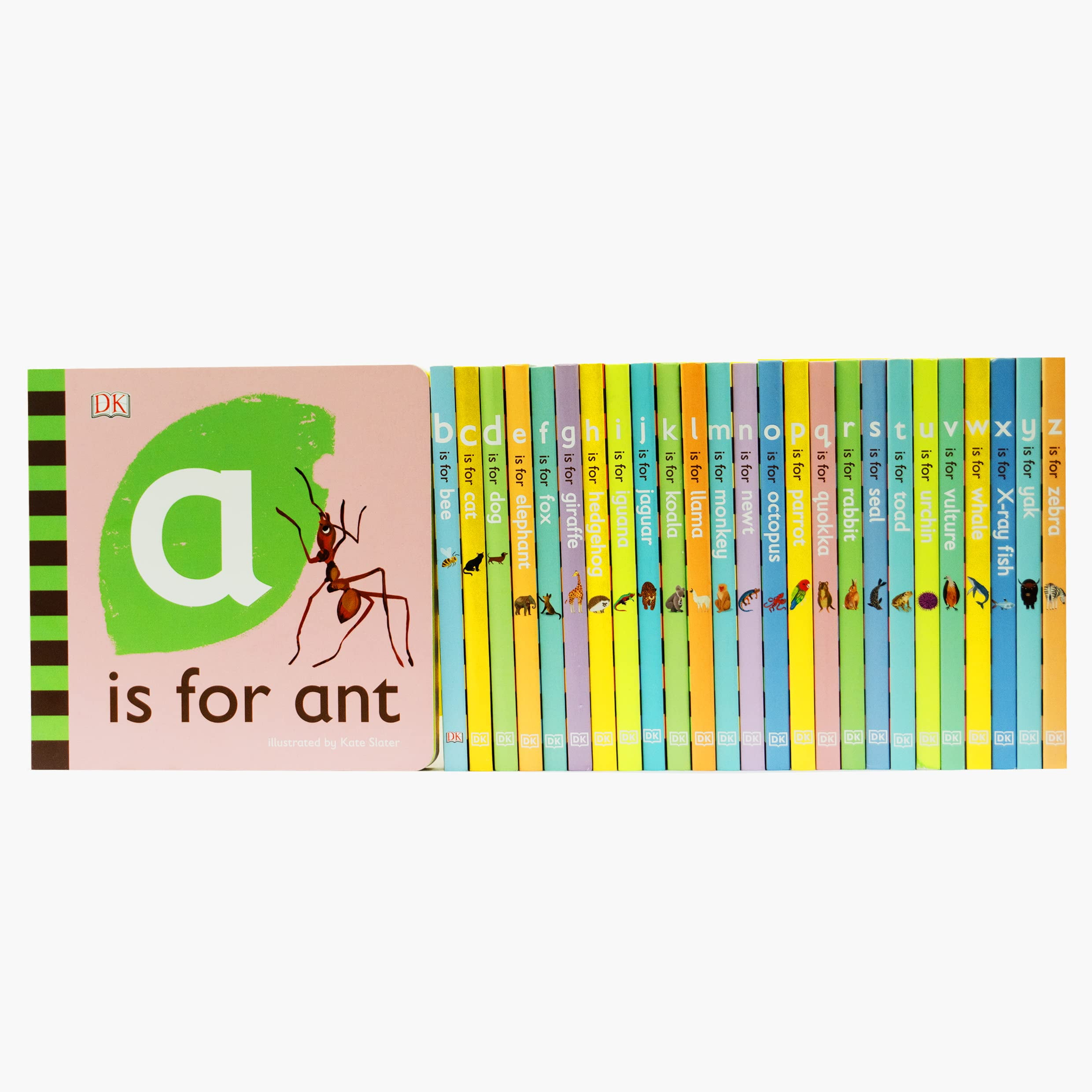 ANIMAL ALPHABET LIBRARY: 26 BOARD BOOK SET, (Board Book)