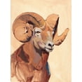 thumbnail image 2 of Green, Jacob 25x32 Black Ornate Wood Framed with Double Matting Museum Art Print Titled - Ochre Ram I, 2 of 4