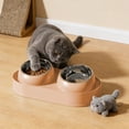 thumbnail image 4 of Stainless Steel Cat Food and Water Bowl with 10-Degree Tilt, Dual Bowl Feeder, Raised Rim Anti-Scatter, Non-Slip Base for Neck Comfort, Easy Clean for Cats Kittens, 4 of 5
