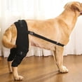thumbnail image 4 of Convenient Practical Cloth 4Size Torn  Hind Leg Knee Hip Joint Protect Support Belt Brace Wrap Belt Legs Protector Pet Knee Pad BLACK XS, 4 of 8