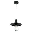 thumbnail image 5 of Flaneur 1 light Black Pendant, 5 of 5
