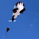 thumbnail image 4 of Vuelo de ballena gigante de parafoil suave sin marco enorme 3D Labymos  Cometa, 4 of 7