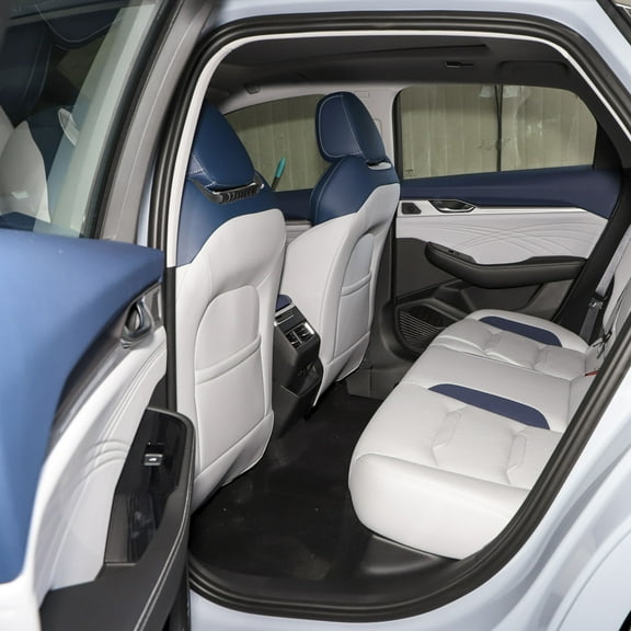 NICEXMAS 2Pcs Car Handle for Elderly and Disabled Support 15.6X1.2X0.4In