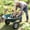 Green, variant on GDF Studio Two-Wheeled Garden Wheelbarrow, Heavy Duty Tray with 15" Pneumatic Wheels, Transporting, Green