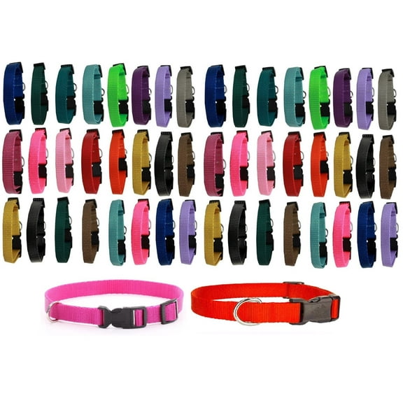 Dog Collar Shelter Rescue Vet Bulk Pack 50 Assorted Color Adjustable Choose Size (X-Small - 6 to 10 Inch)