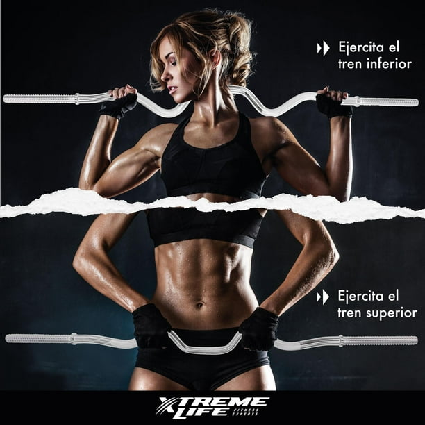 Entrenamiento Barra Z Gimnasio Barra Z Grupo De Gimnasia Con Barra