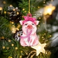 thumbnail image 2 of Home Improvement, 1pc Pinkseries Acrylic Cute Animals Ribbons Ornament Pinkseries Hanging Decorations Pendant Decorations Crafts Hanging Decorations, Hangs, 2 of 5