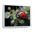 thumbnail image 2 of Designart "A Lullaby In The Rainy Company Of Ladybugs" Ladybug Floater Framed Canvas Prints, 2 of 5