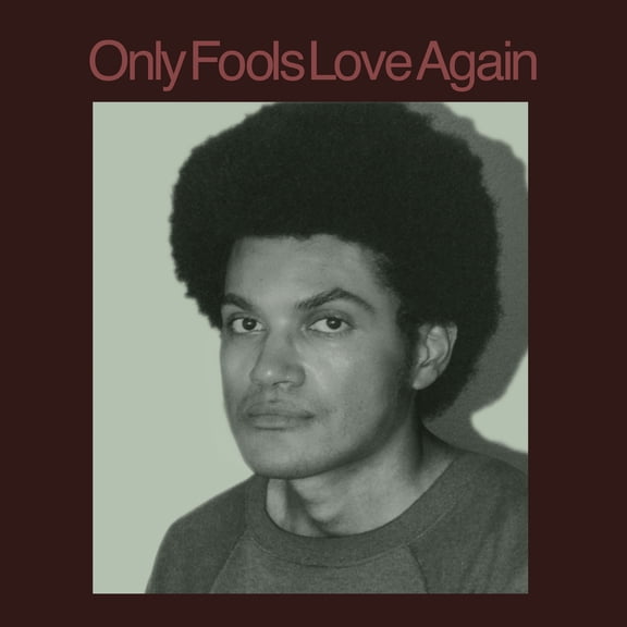 Ayala,Danny - Only Fools Love Again - Music & Performance - Vinyl