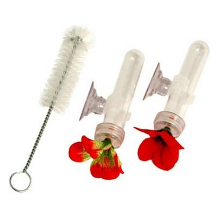 Fancy Feeder - NA35178 0.5 oz. Miniature Window Mount Bird Feeder - Pack Of 6