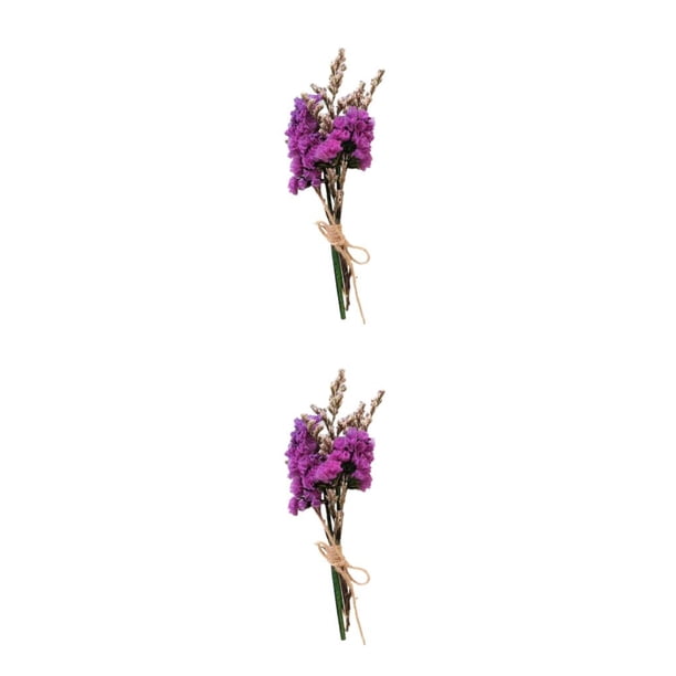 Toystoory Abrazar la naturaleza Ramo de flores secas naturales ecológico Elegante flor en relieve seca Type5 NO5
