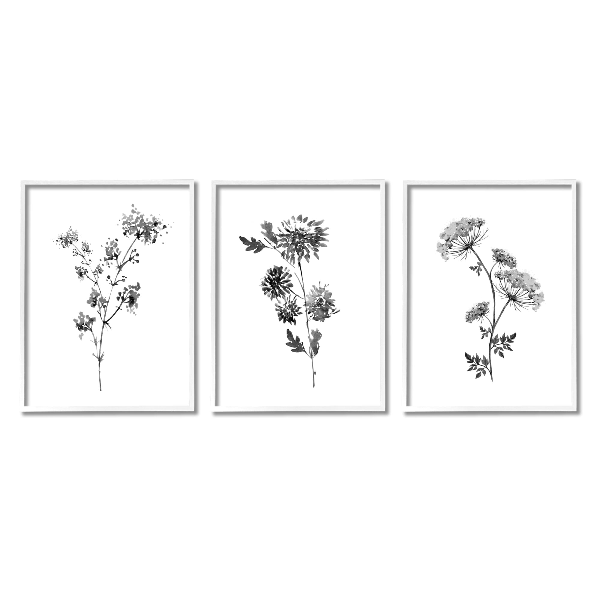 Stupell Indtries Minimal Cornflower and Wildflower Watercolor Black White Florals,16 x 20,Design by Conrad Knutsen