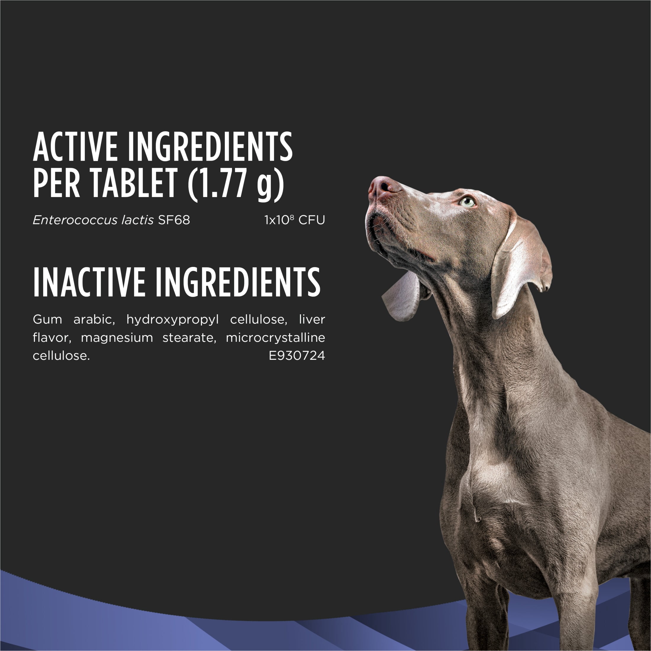 Purina Pro Plan Veterinary Supplements FortiFlora Chewable Dog Probiotic Supplement Tablets, 0.67 lb.