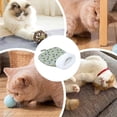 thumbnail image 5 of Cat Sleeping Bag Cat Bed Cave For Indoor Cats Soft Plush Large Cat Sack 360 Degree Wrap Snuggle Sack For Cats Pets, 5 of 5