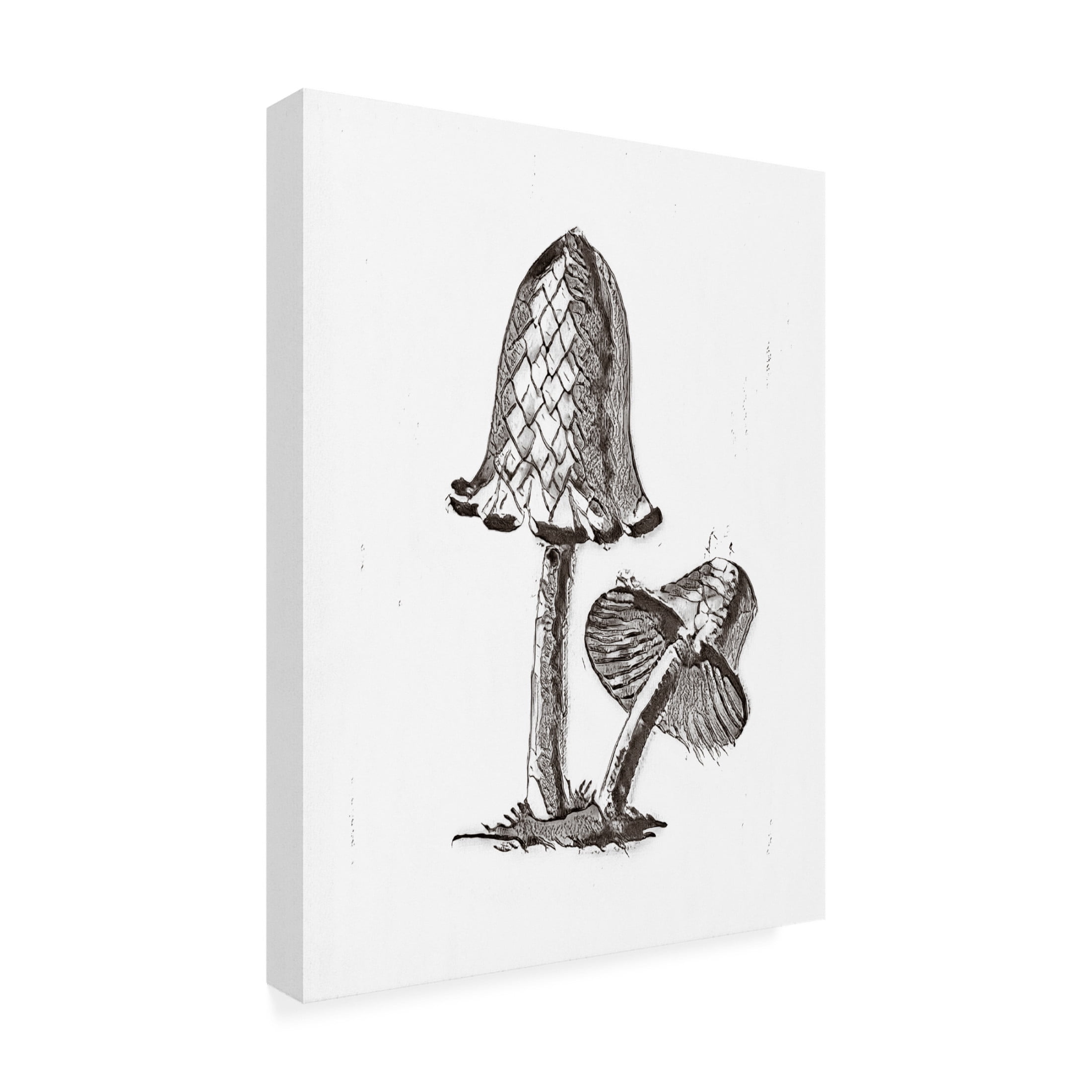 Trademark Fine Art Pictufy Vintage Inky Cap Edible Mushroom BW Bright Canvas Wall Art