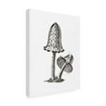 thumbnail image 4 of Trademark Fine Art Pictufy Vintage Inky Cap Edible Mushroom BW Bright Canvas Wall Art, 4 of 4
