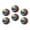 C1676, variant on Glass Refrigerator Magnet 6Pcs Magnetic Fridge Sticker,Decor for Kitchen,Whiteboard,Cabinet,Three Dachshunds In The Bathtub