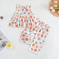 thumbnail image 2 of Toddler Girl Short Set Toddler Girl Clothes Gingham Ruffle Sleeveless Vest Tank Top & Pants Set 1T-5T Toddler Girl Summer Clothes, 2 of 6