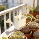 thumbnail image 5 of CaiYueKe Mini Watering Can Small Metal Tin Indoor Outdoor Plant Sprinkler Creative Household Gardening Pot Watering Tool for Potted Plants Herbs Flowers Vegetables, 5 of 7