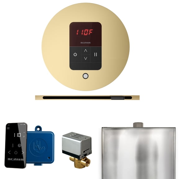 Mr Steam Basic Butler Steam Shower Pkg w/Round iTempo Control and Linear Steamhead in Satin Brass