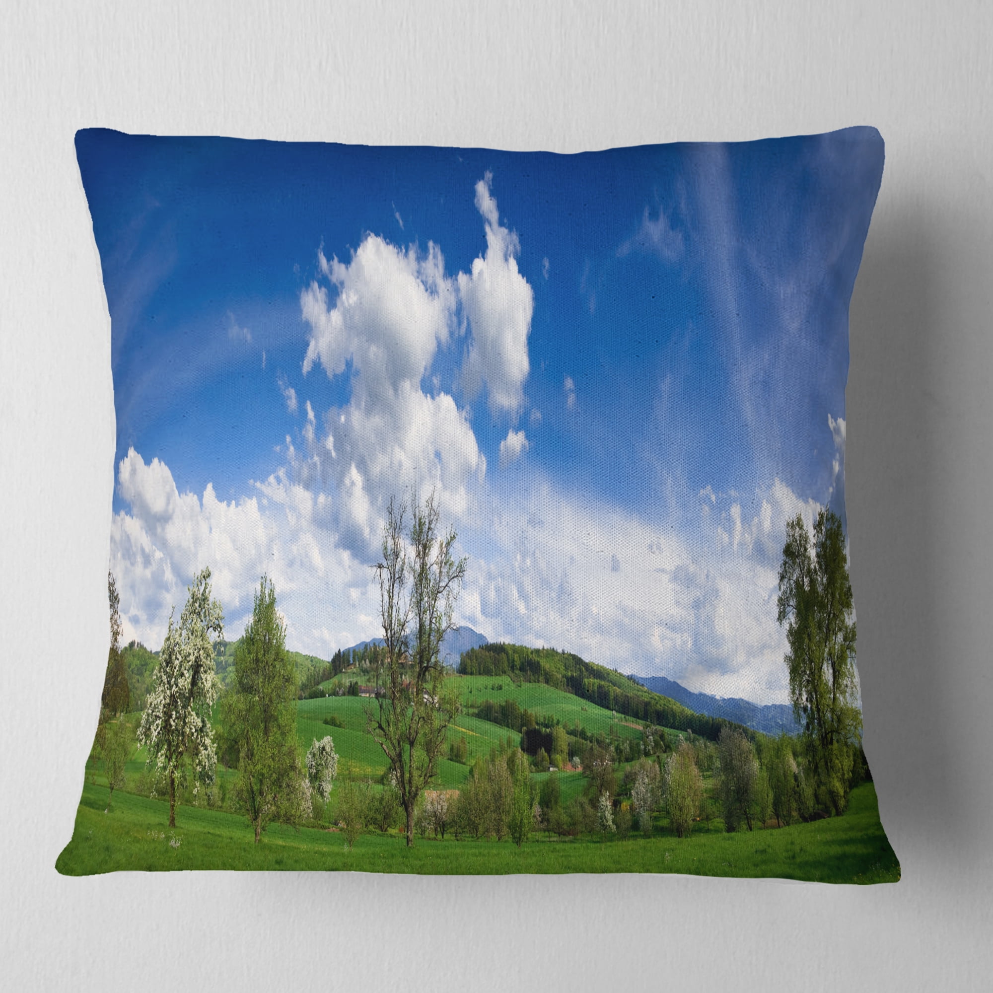 Designart Green Blue Spring Landscape - Photography Throw Pillow - 18x18