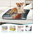 thumbnail image 5 of Washable Pet Pee Pads Soft Plush Absorbent Mat Non-Slip Floor Protector for for Dogs & Cats Cat by The Window, 5 of 7