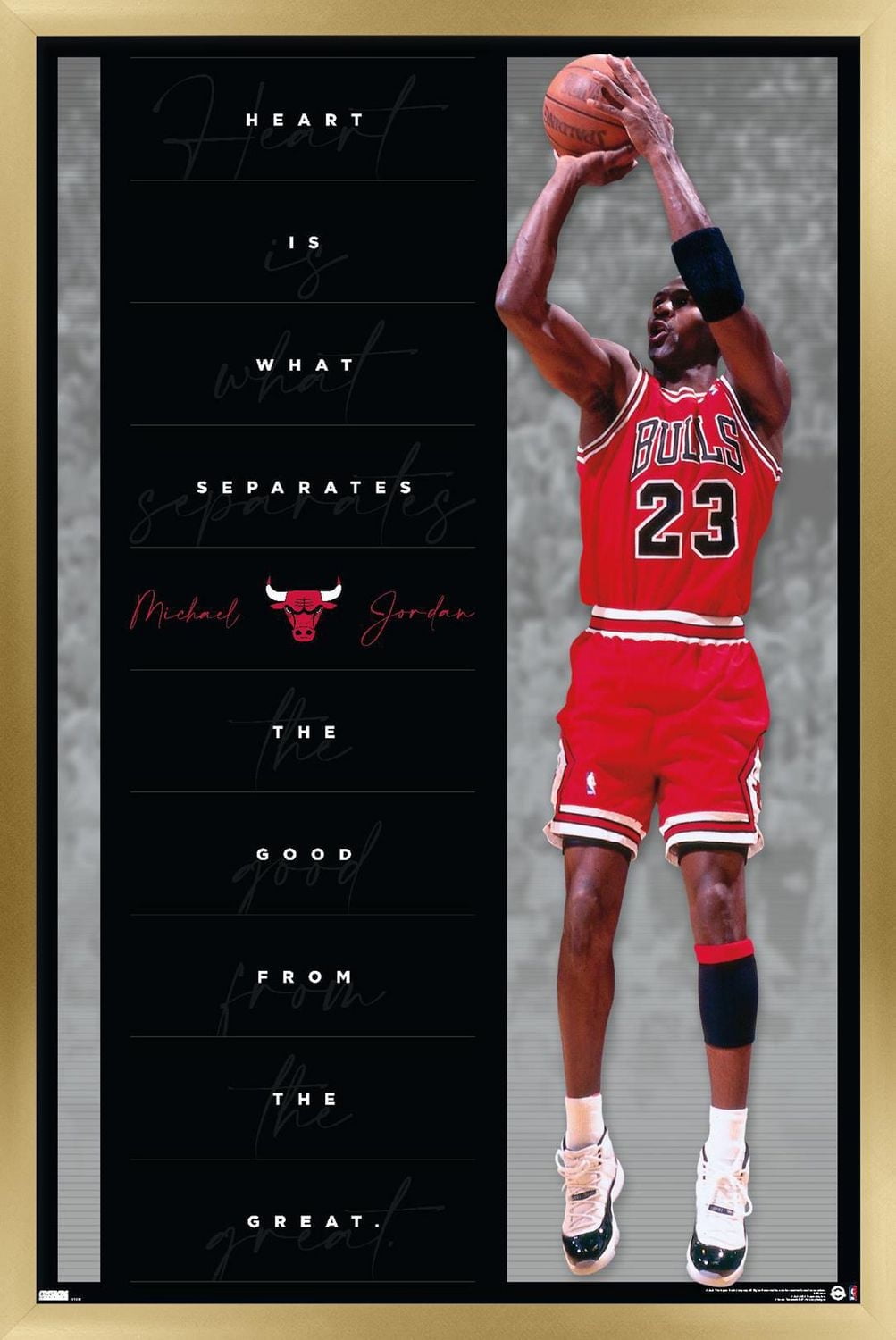 Michael Jordan - Heart Wall Poster, 22.375" x 34"