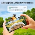 thumbnail image 4 of Smart Bird Feeder with Camera, AI Identify Bird Breed, Solar-Powered WiFi FHD 2K Live Camera, Auto Capture Backyard Garden Bird Watching, IP65,Motion Detection, Cloud and SD Card Storage, 4 of 14