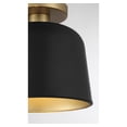 thumbnail image 5 of Trade Winds Nora 1-Light Ceiling Light in Matte Black with Natural Brass, 5 of 5