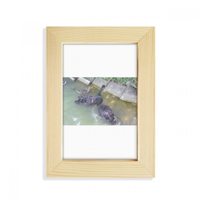 Assembled Goose Art Deco Fashion Desktop Display Photo Frame Picture Art Painting 5x7 inch