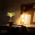 thumbnail image 4 of Lampara De Noche Tipo Palmera Con Luz Led Y Piedras Decorativas, 4 of 5