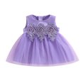 thumbnail image 1 of AMERTEER Bambin Filles Princesse Partie Robe 0-5Y Sans Manches Fleurs Broderie Perle Maille Dentelle Tutu Robe de Soleil, 1 of 8