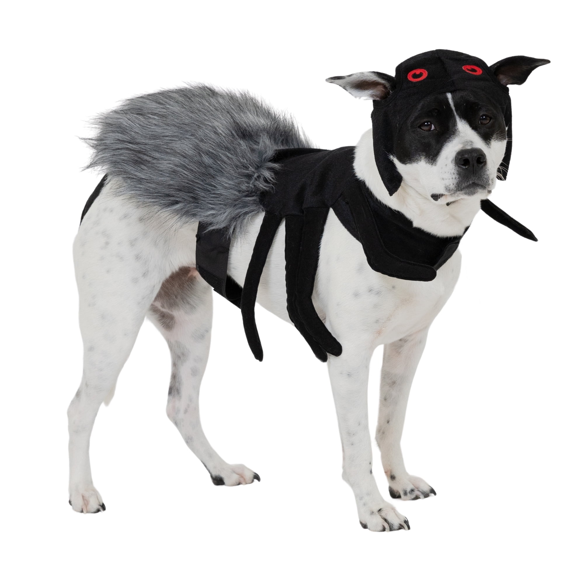 Vibrant Life Halloween Spider Costume for Dogs, Black, Medium