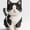 CB-2, variant on Cat Building Block Set,Realistic Pet Cat Mini Bricks Model Kit,Cat Micro Building Blocks,Creative Pet Display Decor Gift for Cat Lovers