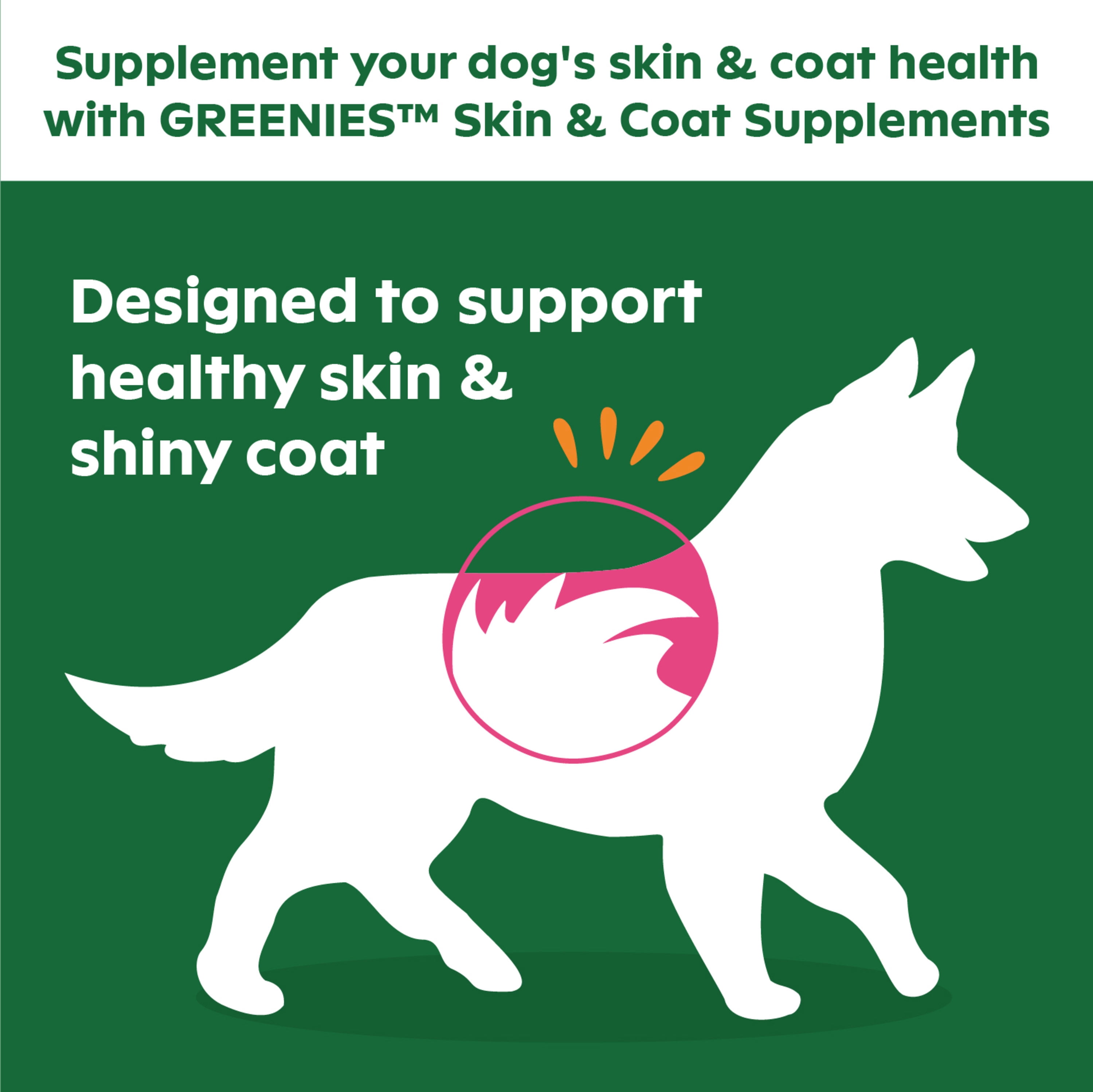 Greenies Skin & Coat Supplement Soft Chew for Dogs, Chicken Flavor, 40 Count