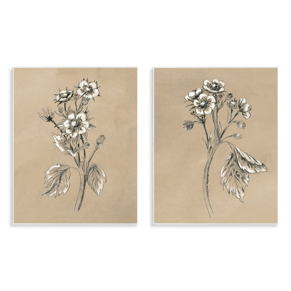 Stupell Industries Vintage Sketch Botanical Plants & Flowers Drawing Unframed Art Print Wall Art, 11 x 14, Set of 2