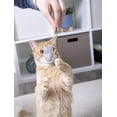 thumbnail image 5 of 10 juguetes lindos del gato del ratón herbario de la felpa juguetes pequeños del animal doméstico del gato BRILLAR  Rojo Verde, 5 of 5