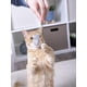thumbnail image 5 of 10 juguetes lindos del gato del ratón herbario de la felpa juguetes pequeños del animal doméstico del gato, 5 of 5
