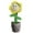 Yellow, variant on Custom Dancing Talking Sunflower Dancing With Custom Face What You Say Sings Mimicks Records 50 Songs Funny For Birthday Festival And Valetine Day Electric plush toys Pink