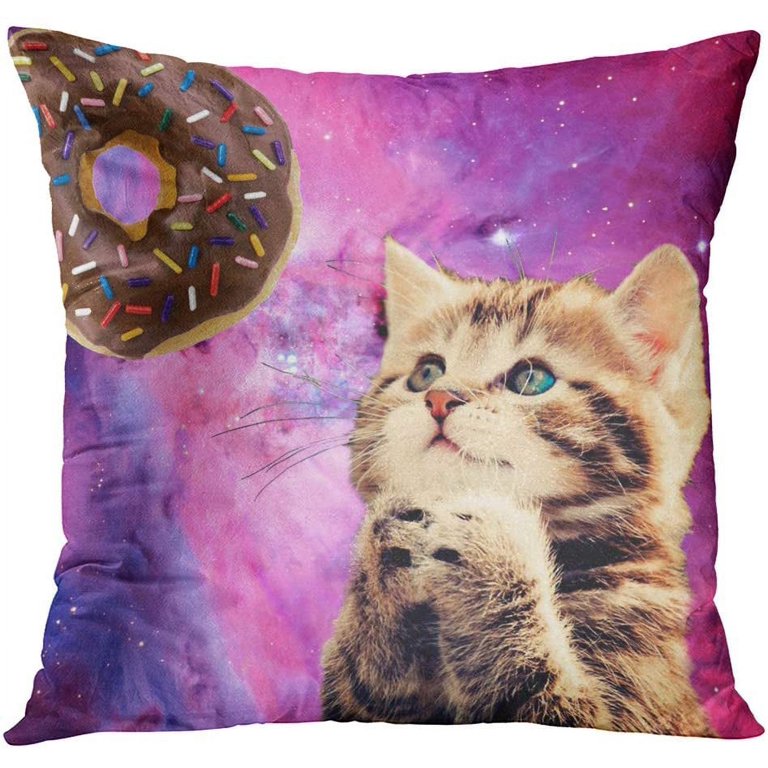 Cat Meme Pillow Cases, Meme Cushion Covers