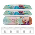 3 Piece Frozen Bedding Sets Twin Size Duvet Cover set 1 Duvet Cover 2