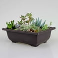 thumbnail image 3 of Mosiee Plastic Flower Pot Plastic Rectangle Bonsai Nursery Balcony Garden Container Yard Garden Outdoor Living, 3 of 9