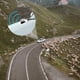 thumbnail image 5 of silbatos ultrasónicos de advertencia de ciervos para coches, vehículos y motocicletas. Repelente de animales para coche. Ahuyentador de viento ultrasónico para coche., 5 of 5