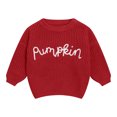 thumbnail image 5 of KPOPLK Baby Toddler Kids Girl Sweaters Long Sleeve Letter Embroidery Knit Pullover Toddler Tops 6 9 12 18 24 Months 2T 3T 4T,Size 4-5 Years, 5 of 6