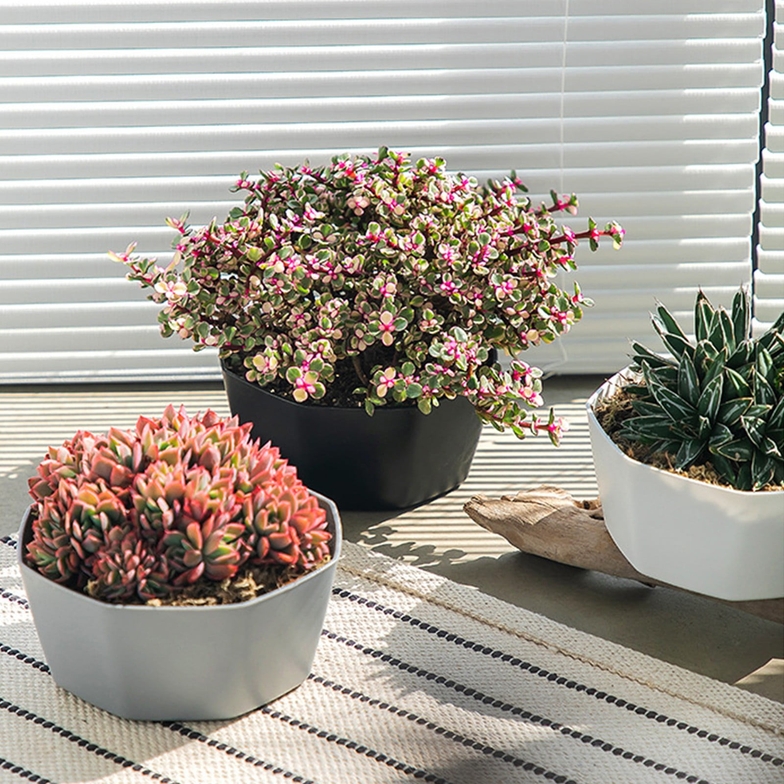 White Plastic Shallow Plant Pot, Octagon Bowl Planter Container with Pot Tray for Succulents, Cactus (White/1 Pcs) 5.91x2.56"