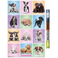 thumbnail image 1 of Keith Kimberlin - Puppies - Cuties Grid, 1 of 5