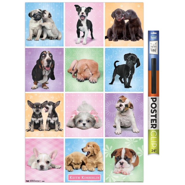 Keith Kimberlin - Puppies - Cuties Grid