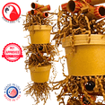 thumbnail image 5 of Bonka Bird Toys 3867 Duo Money Pot Natural Chew Shred Forage Parrot Cage Toy Pet, 5 of 7