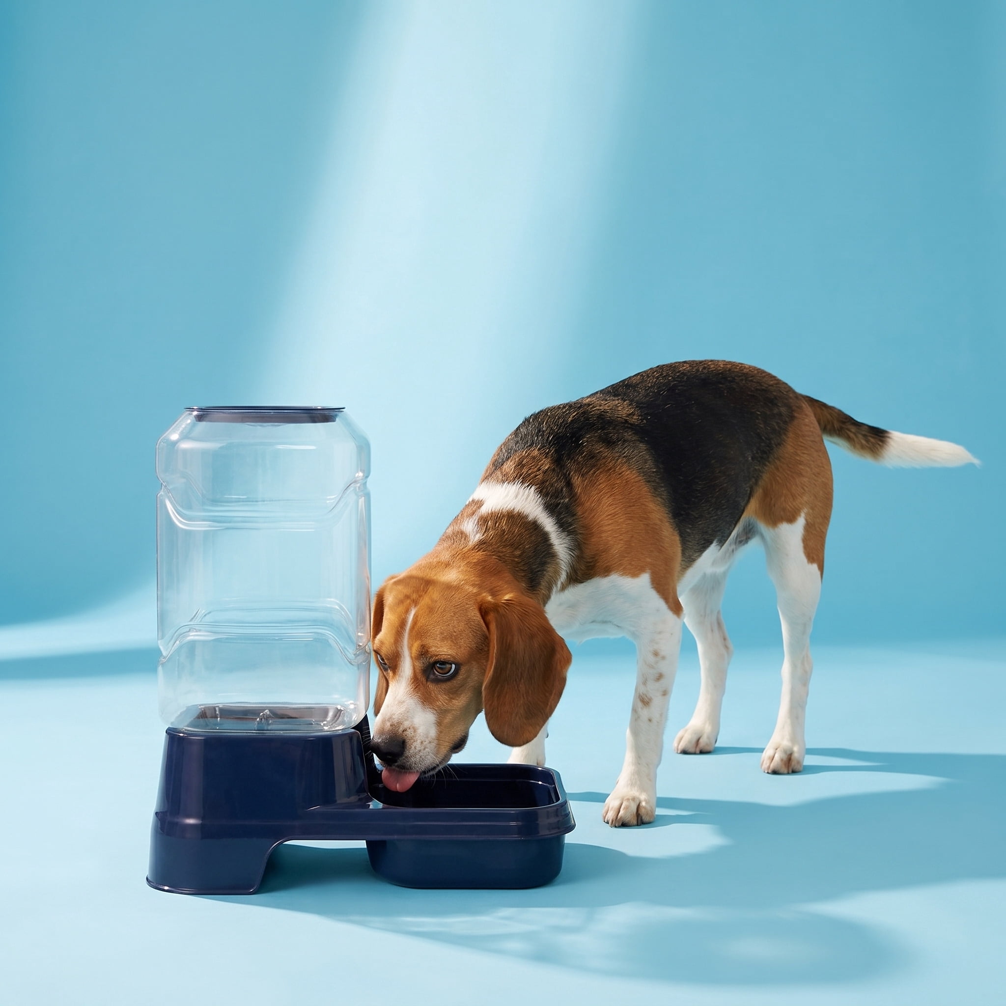 (3 pack) Vibrant Life Gravity Feeder for Medium Pets, 5 lb, Navy