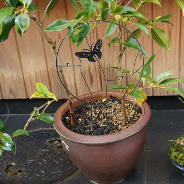 Neinkie Treillis de jardin en fer pour plantes grimpantes - Fil de support  en métal antirouille avec revêtement noir pour plantes en pot décoratives pour  plantes grimpantes de jardin 